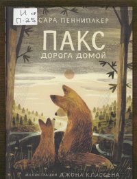 Дорога домой